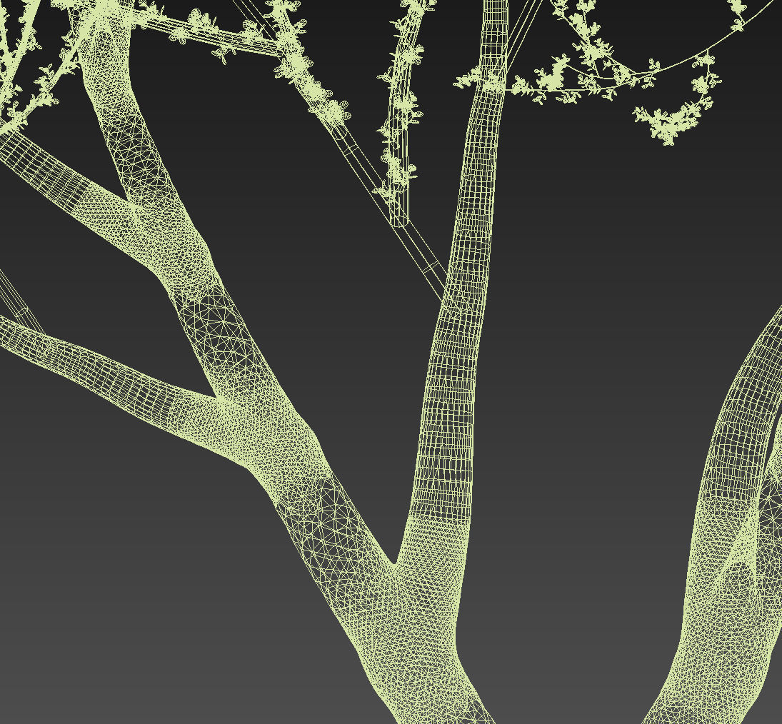 18 High-Res Desert CG Plant and Tree Models 3D model_42