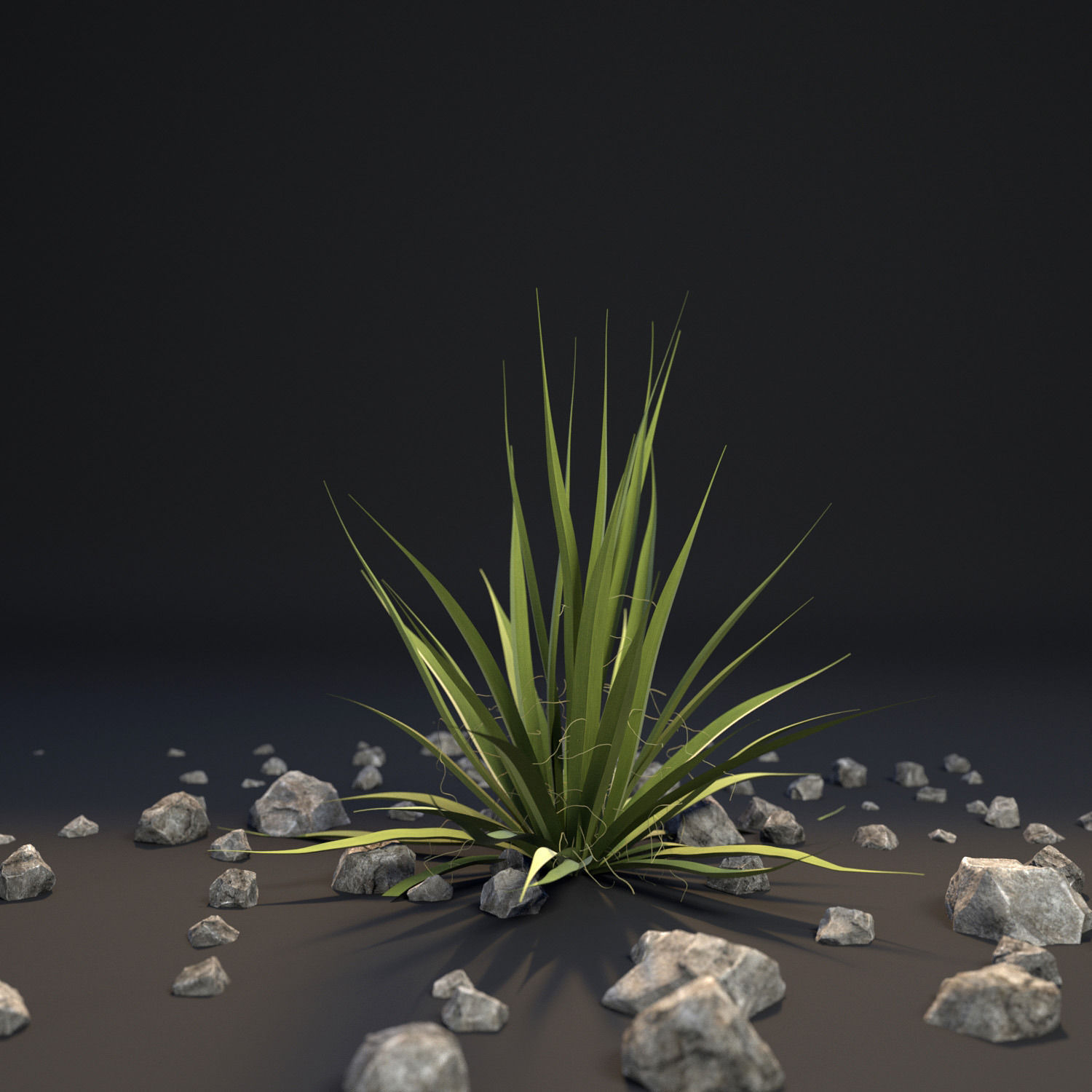 18 High-Res Desert CG Plant and Tree Models 3D model_23