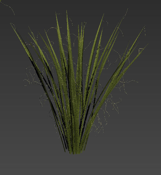 18 High-Res Desert CG Plant and Tree Models 3D model_31