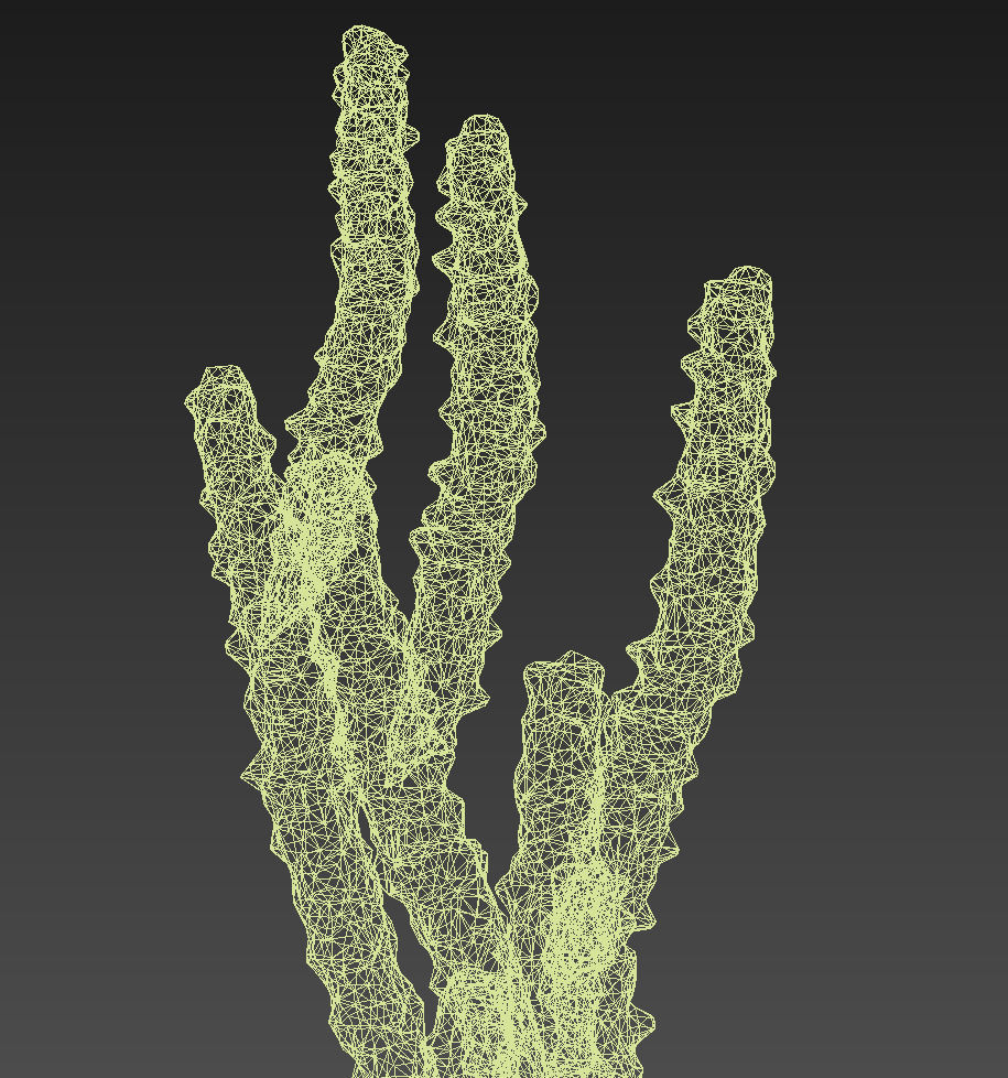 18 High-Res Desert CG Plant and Tree Models 3D model_36