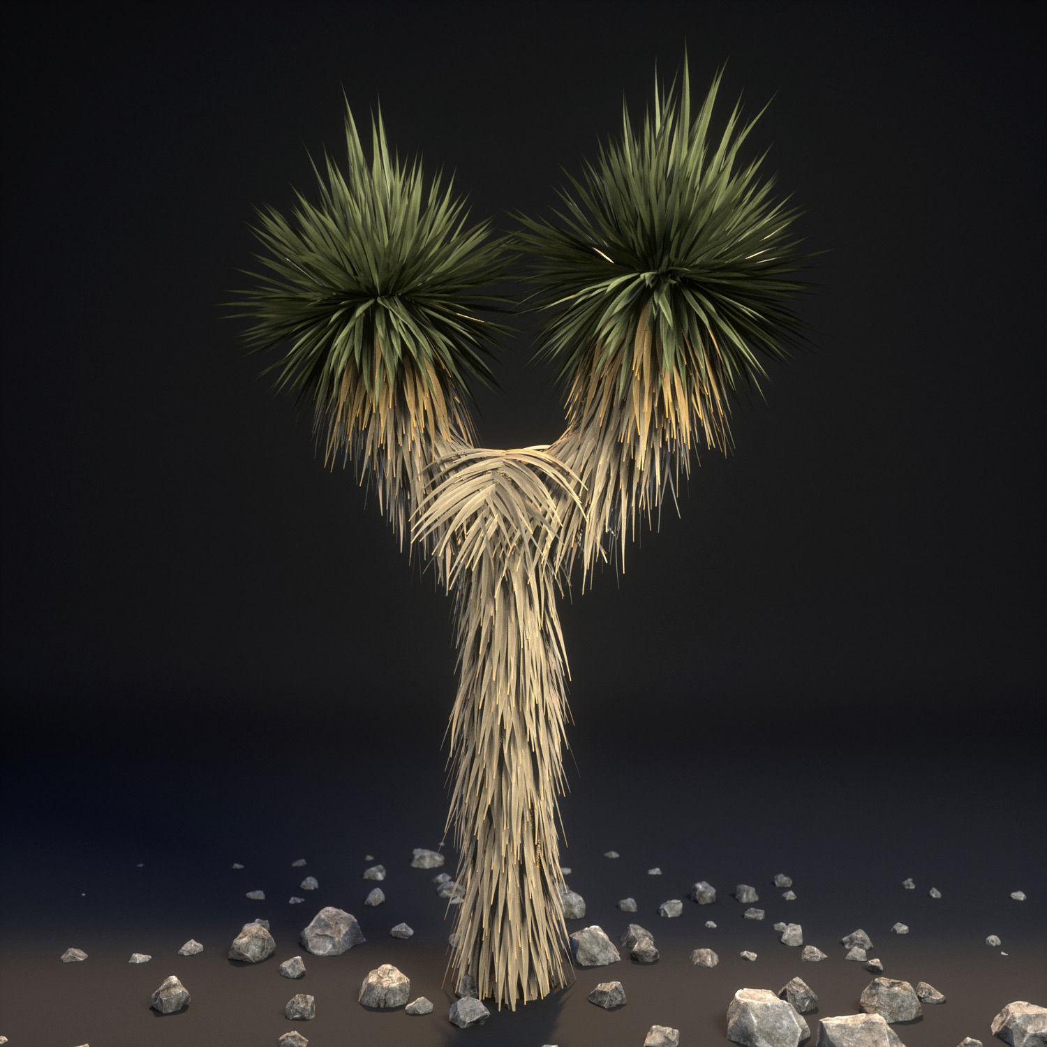 18 High-Res Desert CG Plant and Tree Models 3D model_3