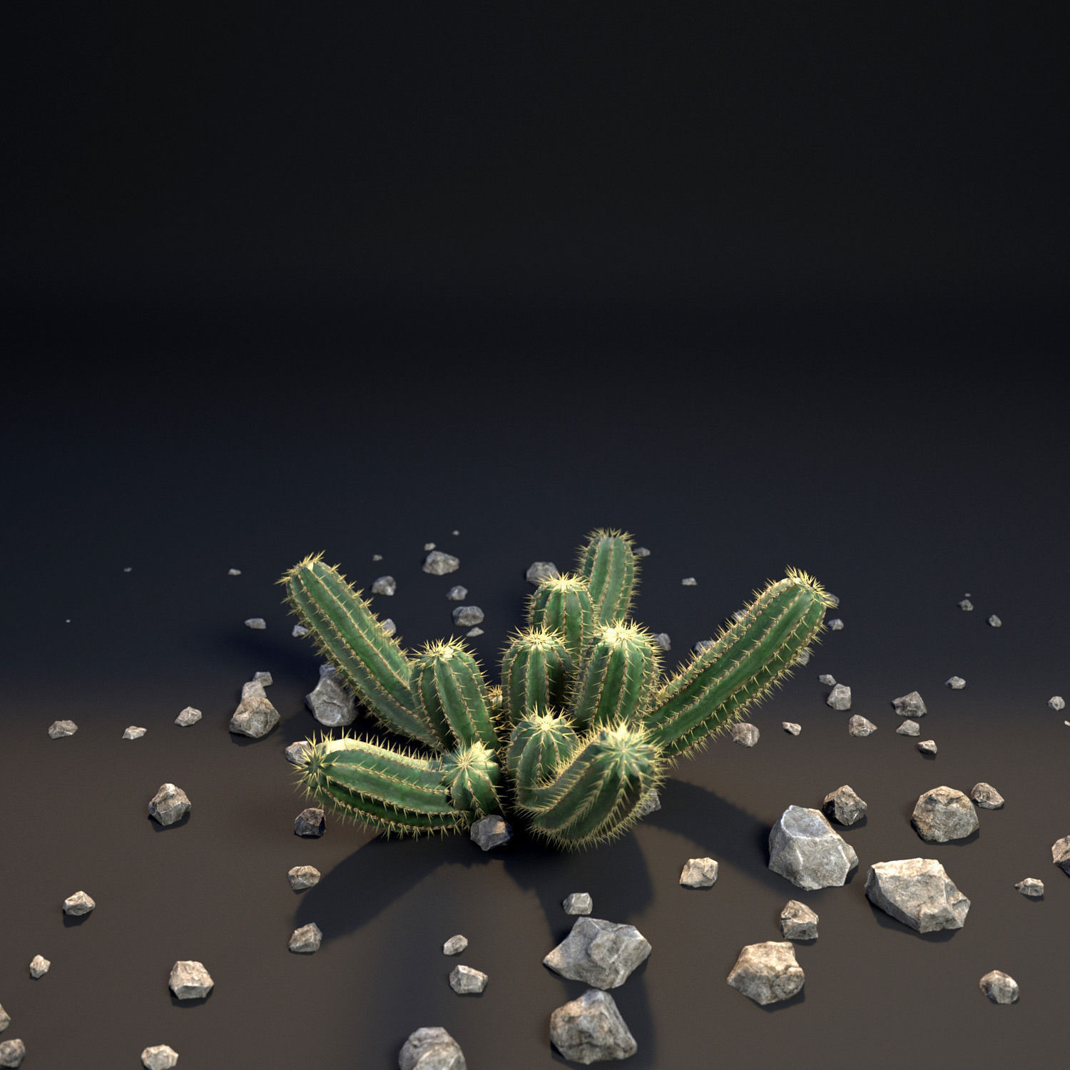 18 High-Res Desert CG Plant and Tree Models 3D model_19