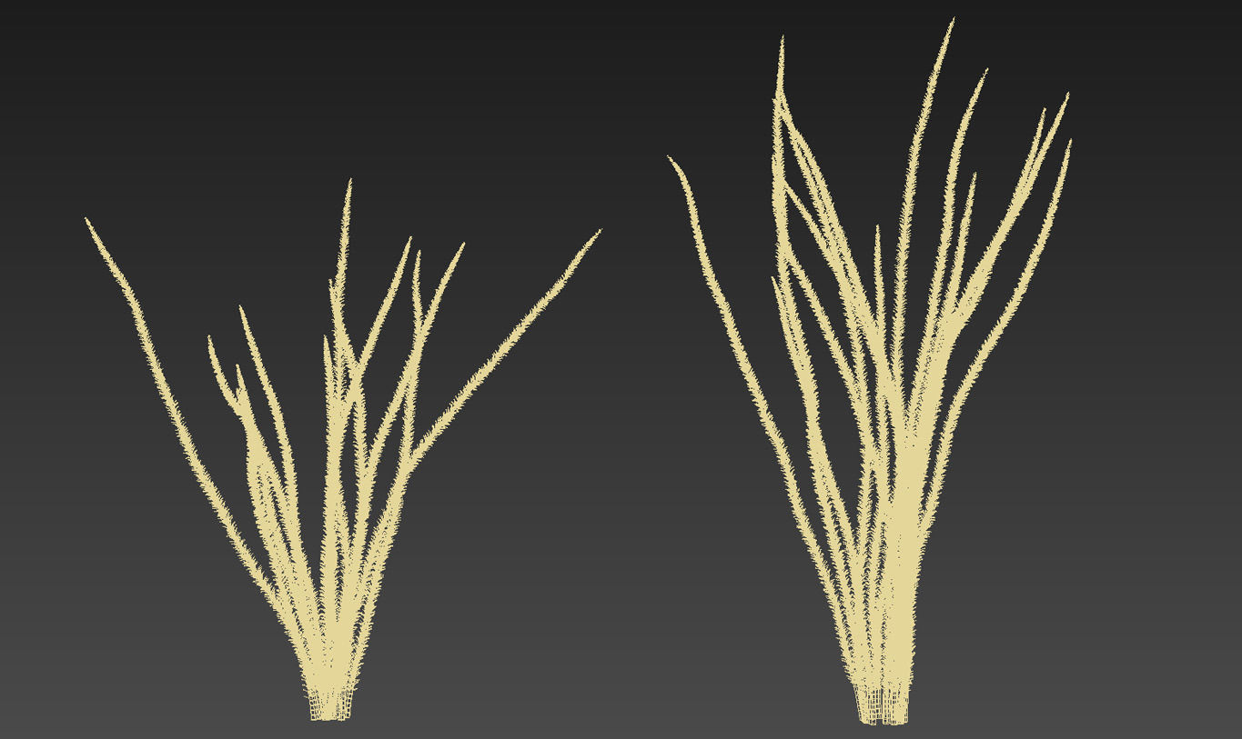 18 High-Res Desert CG Plant and Tree Models 3D model_46