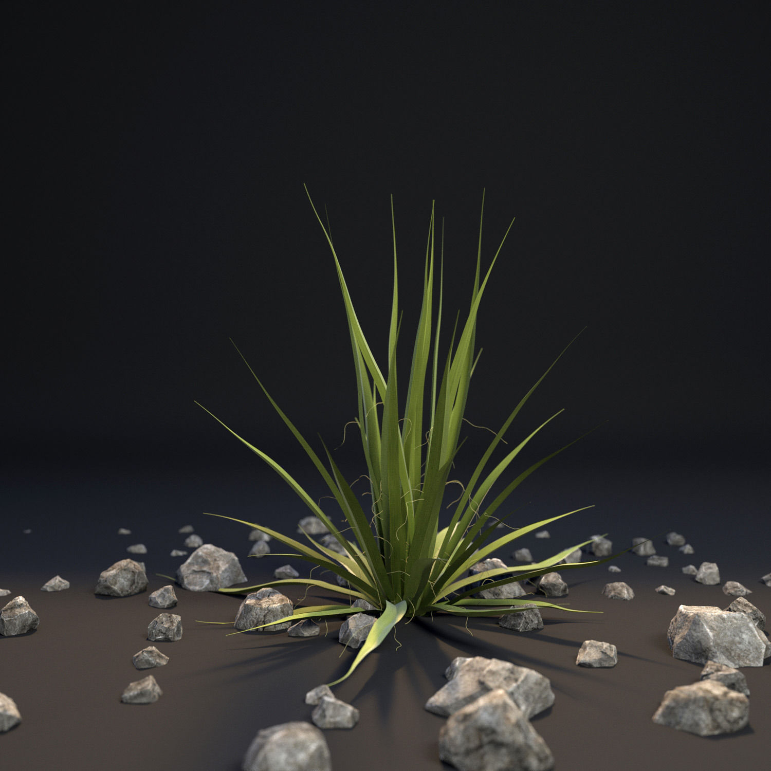 18 High-Res Desert CG Plant and Tree Models 3D model_4