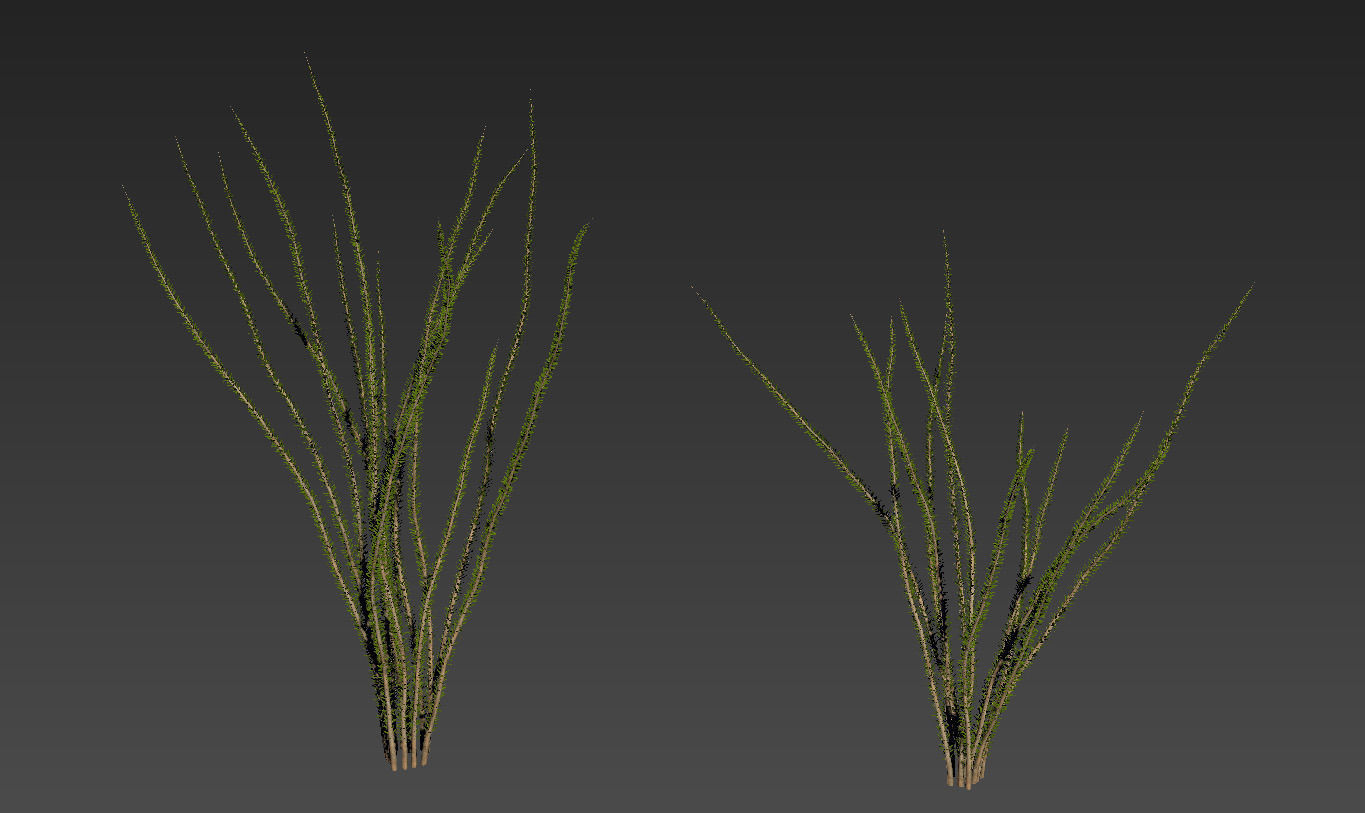 18 High-Res Desert CG Plant and Tree Models 3D model_32