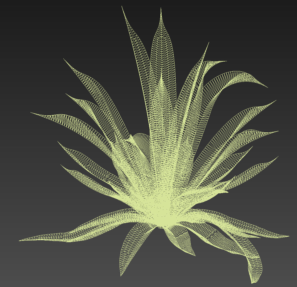 18 High-Res Desert CG Plant and Tree Models 3D model_49