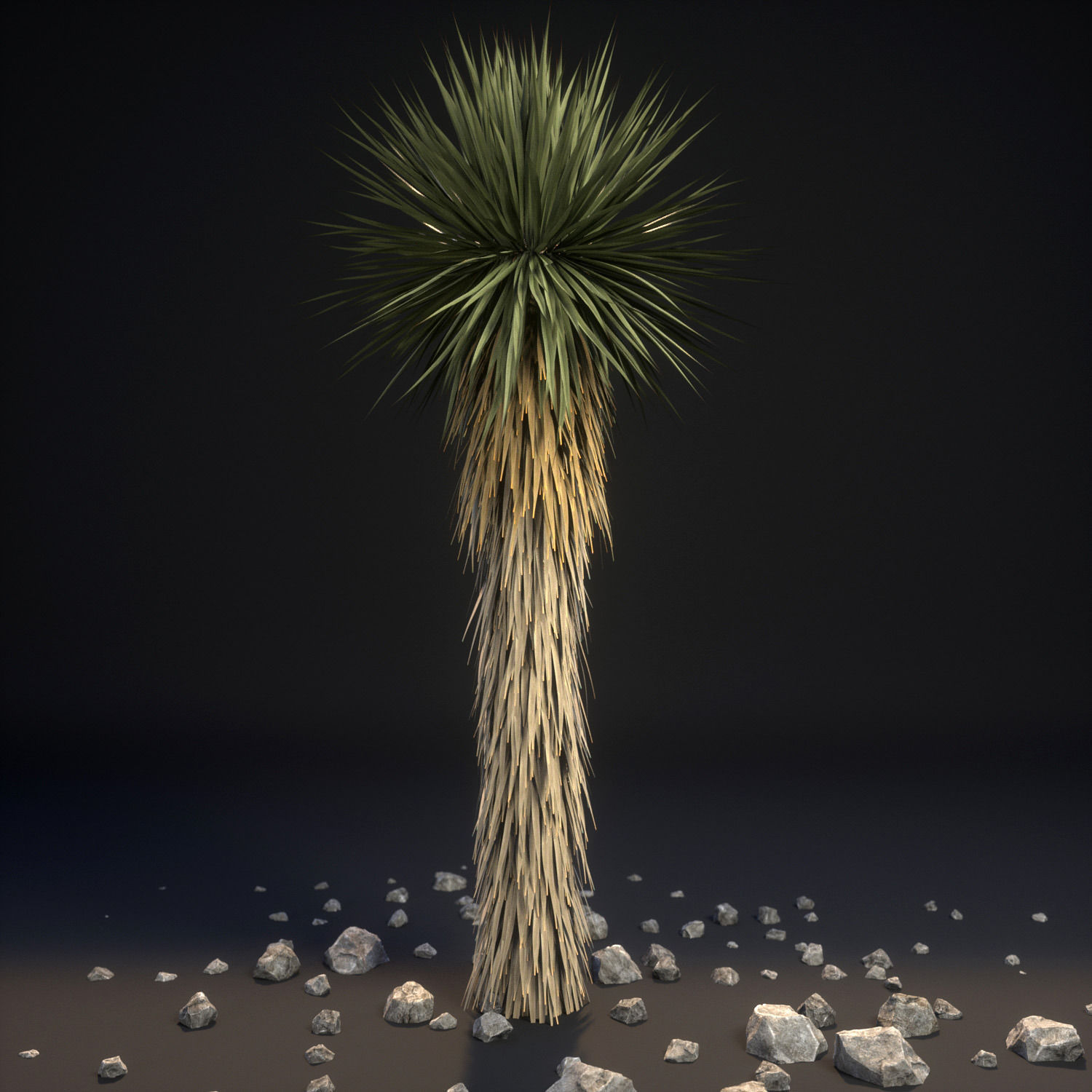 18 High-Res Desert CG Plant and Tree Models 3D model_1