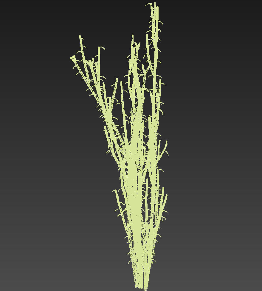 18 High-Res Desert CG Plant and Tree Models 3D model_44