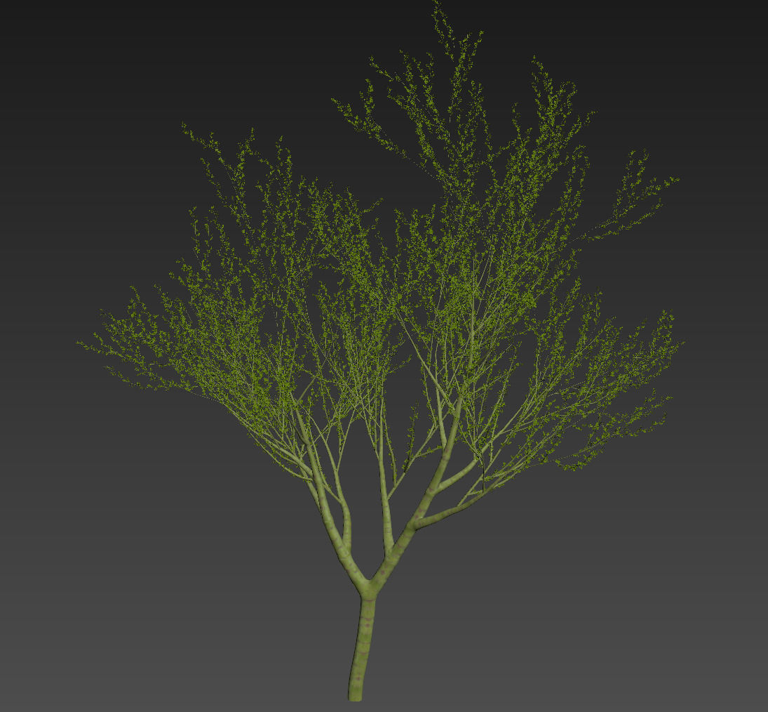 18 High-Res Desert CG Plant and Tree Models 3D model_28