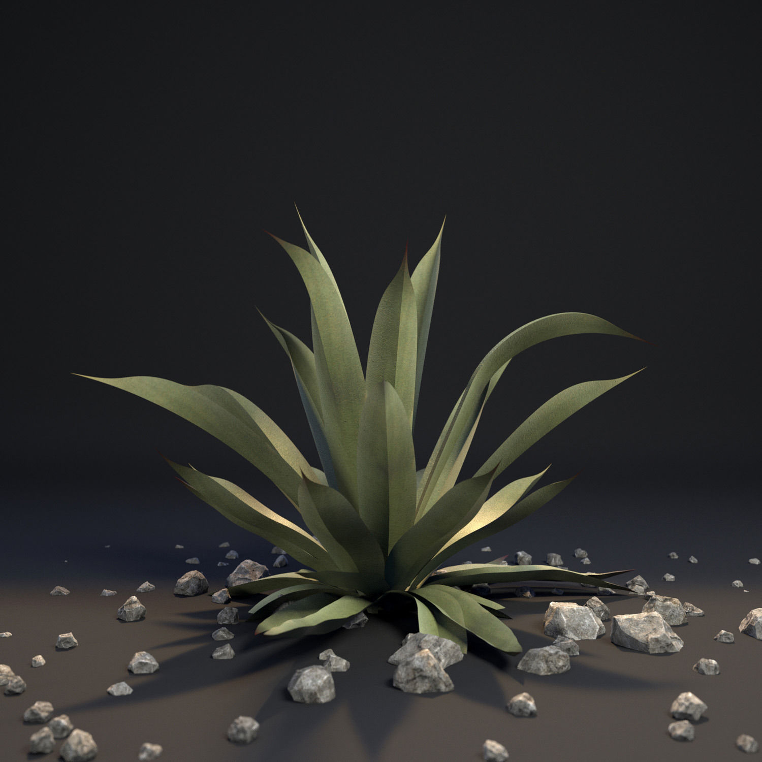 18 High-Res Desert CG Plant and Tree Models 3D model_16