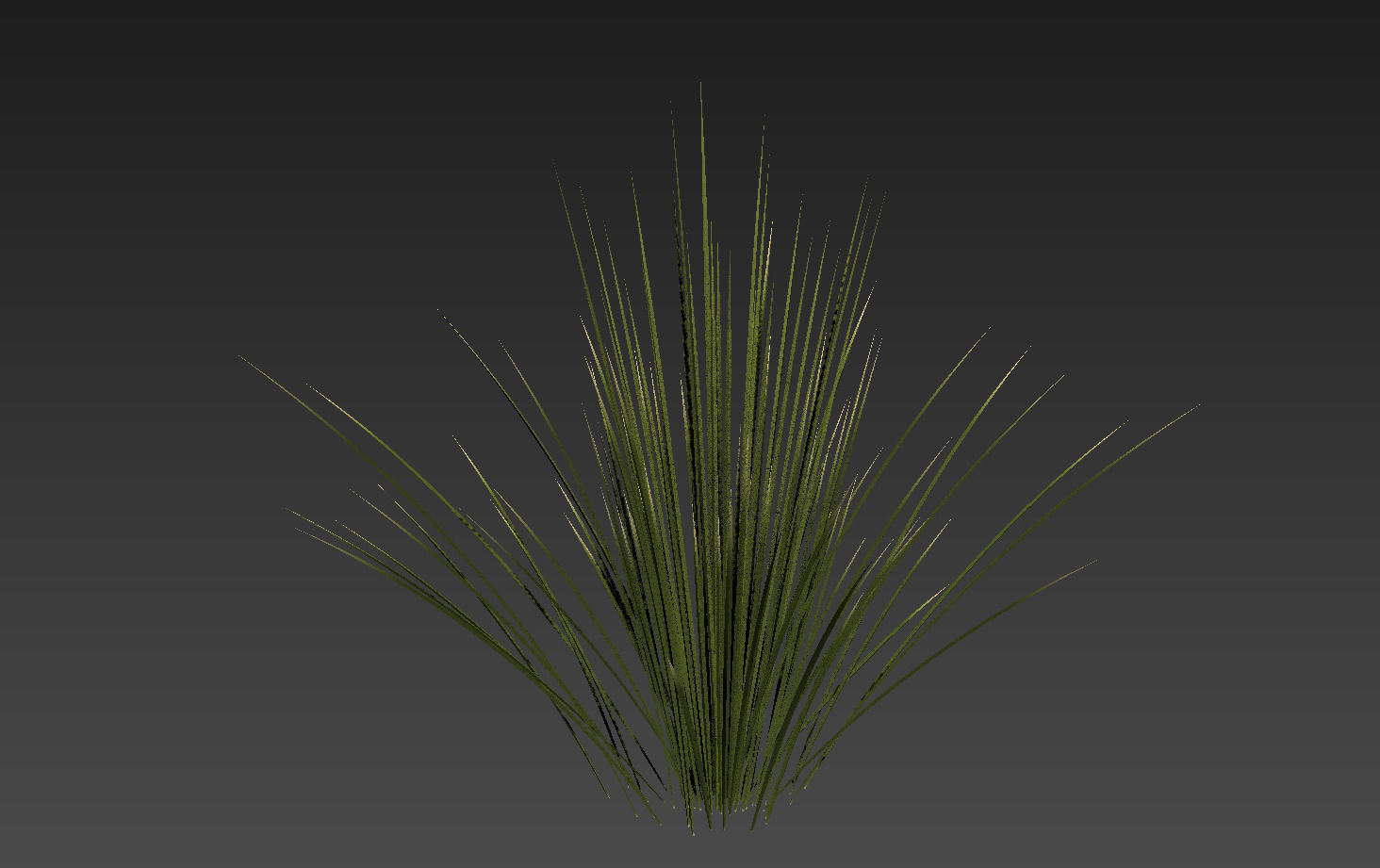 18 High-Res Desert CG Plant and Tree Models 3D model_25