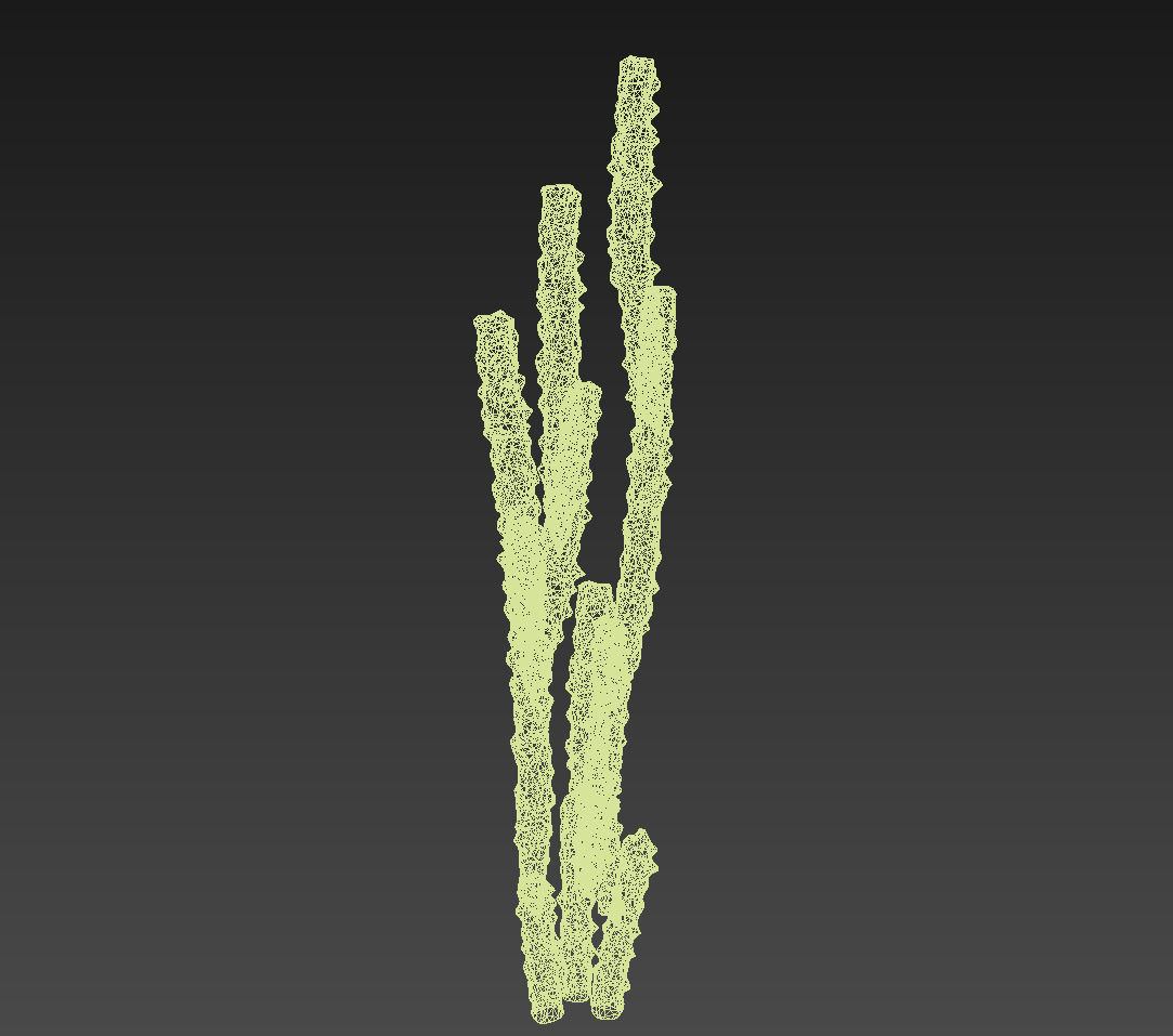 18 High-Res Desert CG Plant and Tree Models 3D model_39
