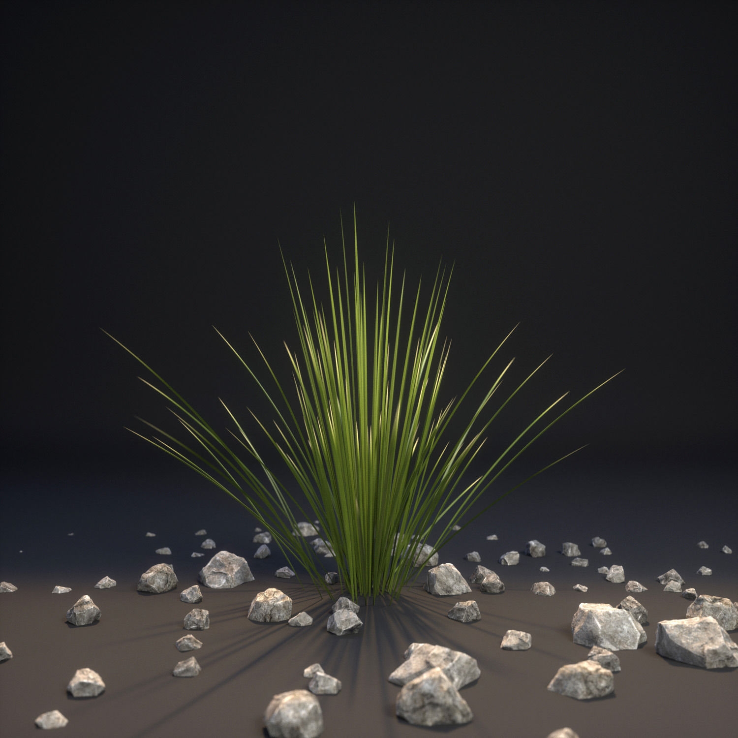 18 High-Res Desert CG Plant and Tree Models 3D model_14