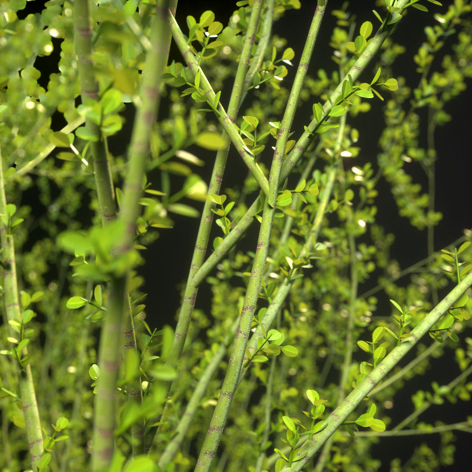 18 High-Res Desert CG Plant and Tree Models 3D model_6