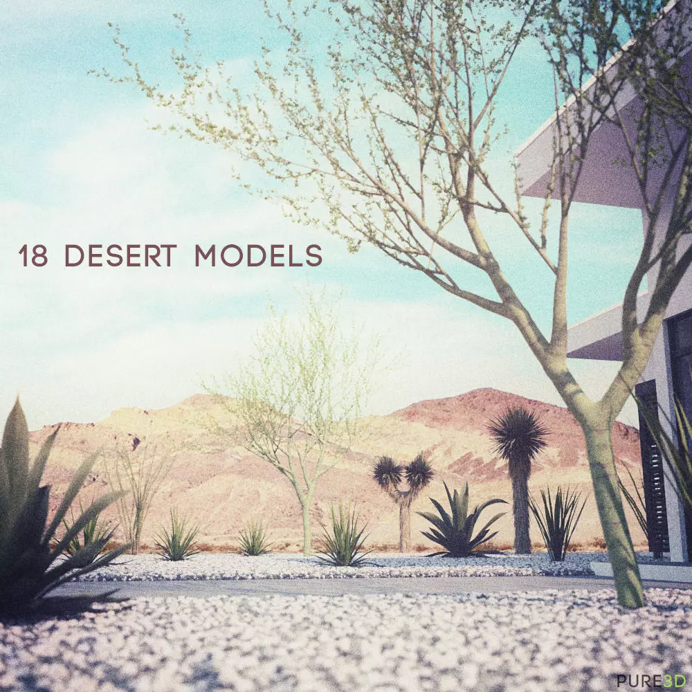 18 High-Res Desert CG Plant and Tree Models 3D model_0