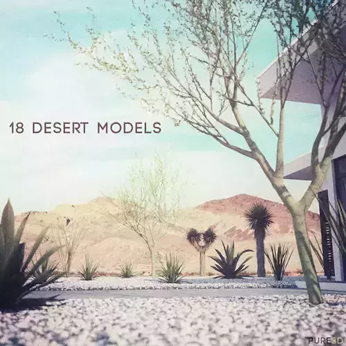 18 High-Res Desert CG Plant and Tree Models 3D model