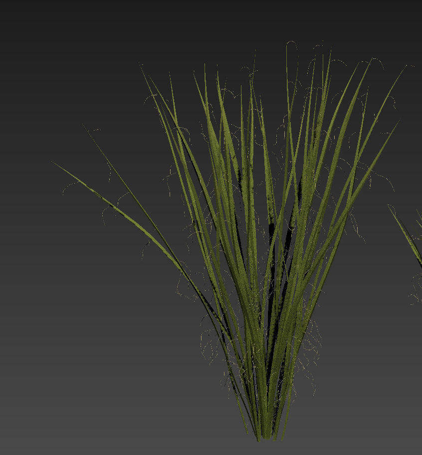 18 High-Res Desert CG Plant and Tree Models 3D model_29