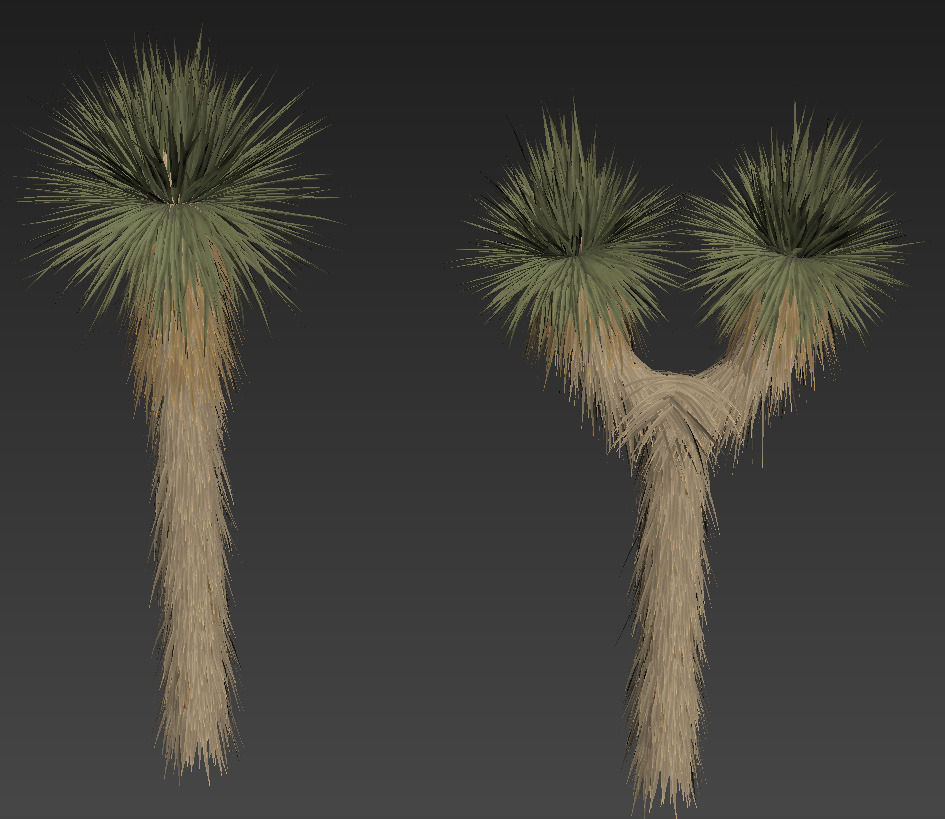18 High-Res Desert CG Plant and Tree Models 3D model_30