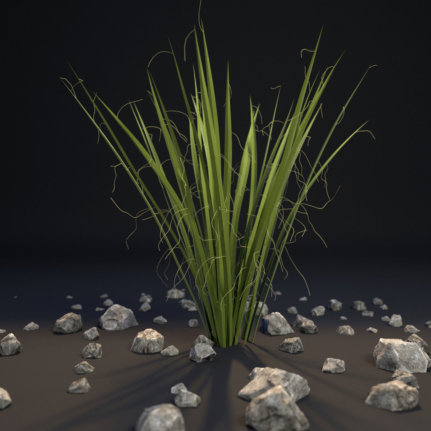 18 High-Res Desert CG Plant and Tree Models 3D model_22