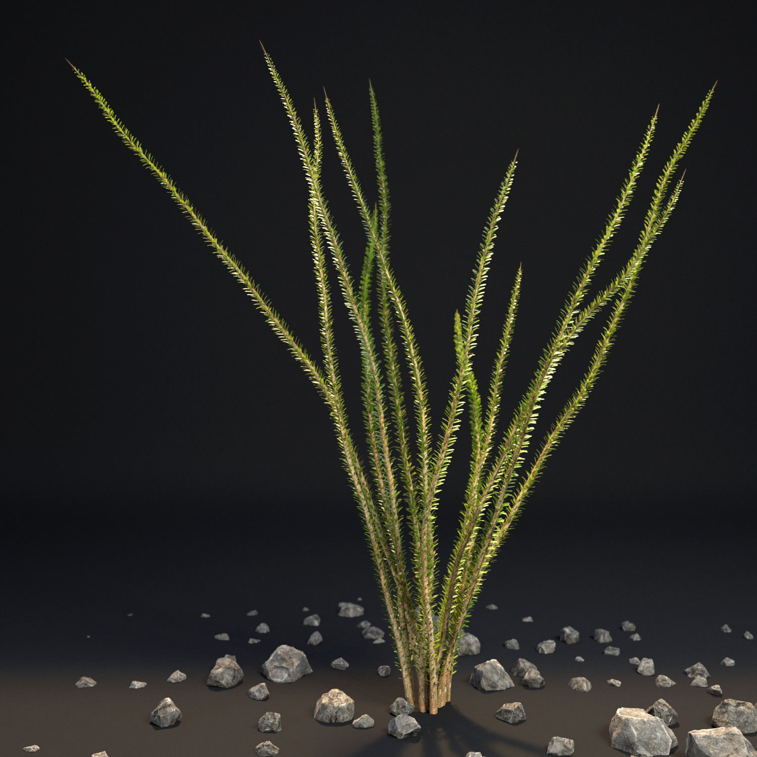 18 High-Res Desert CG Plant and Tree Models 3D model_8