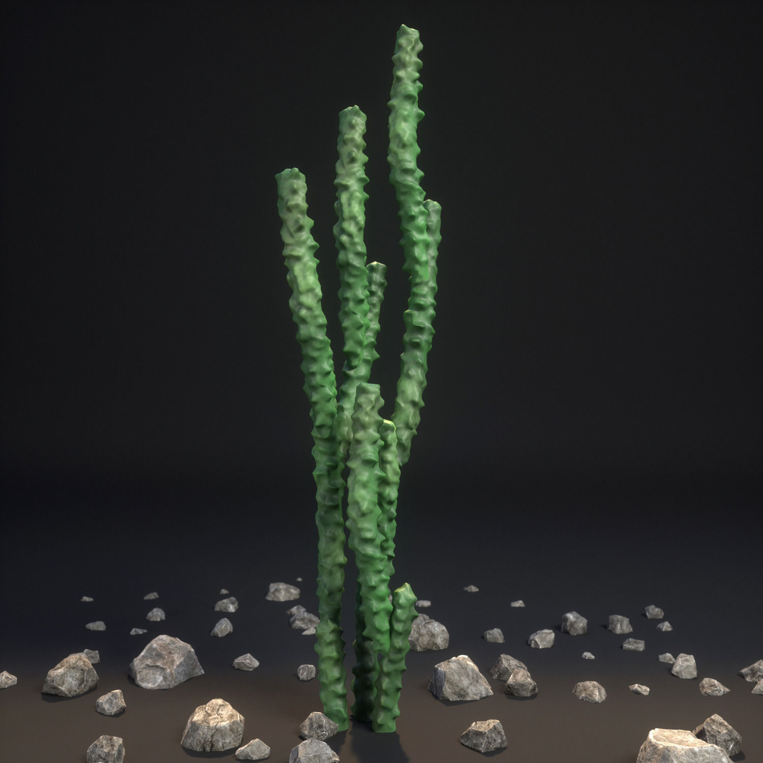 18 High-Res Desert CG Plant and Tree Models 3D model_10
