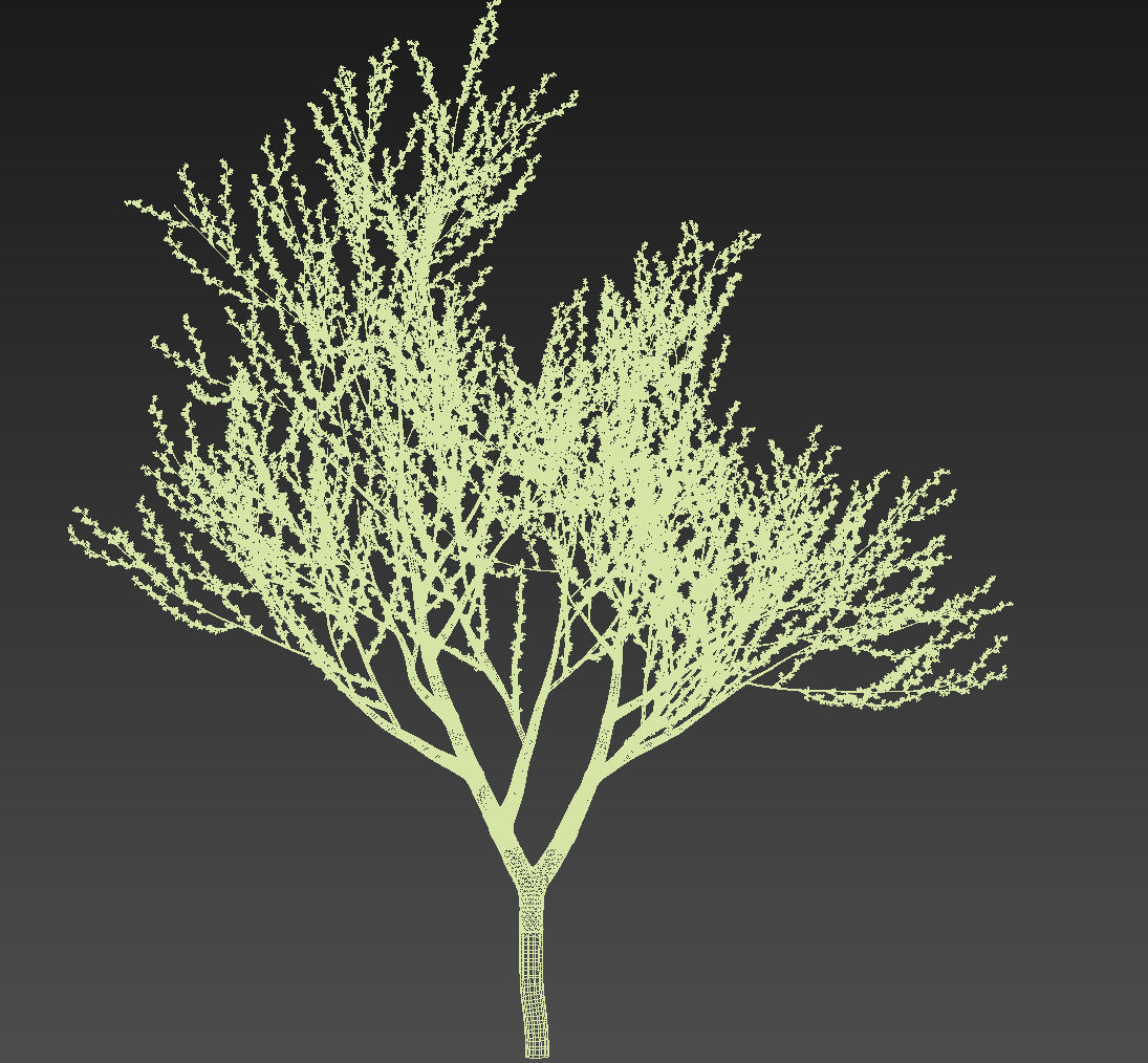 18 High-Res Desert CG Plant and Tree Models 3D model_43