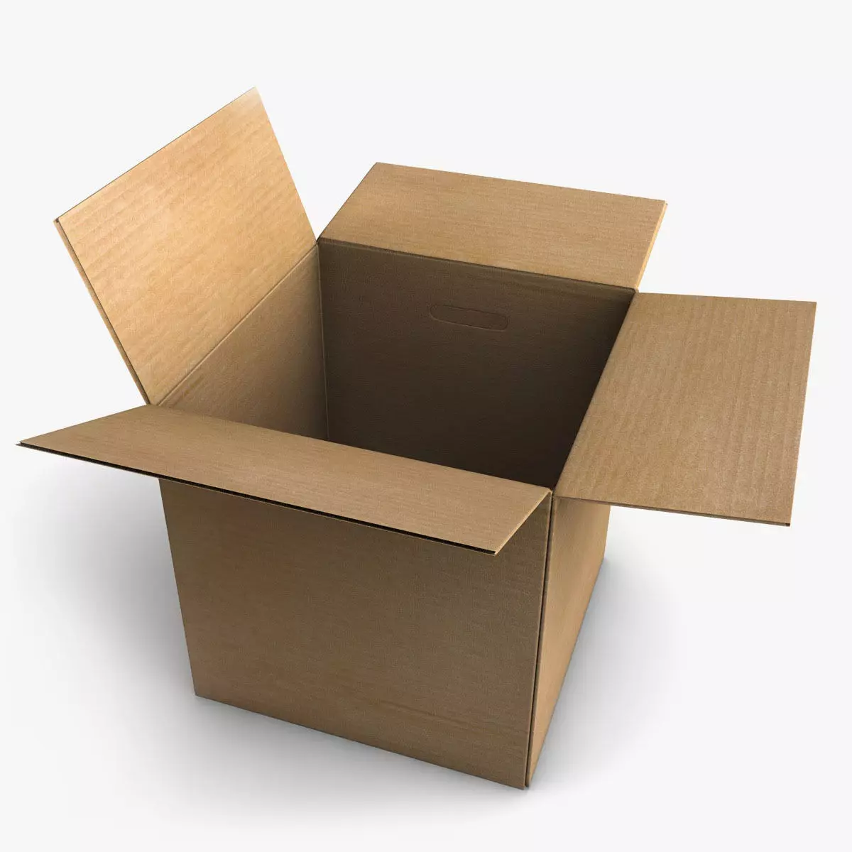 Rigged Cardboard Box  3D model_0