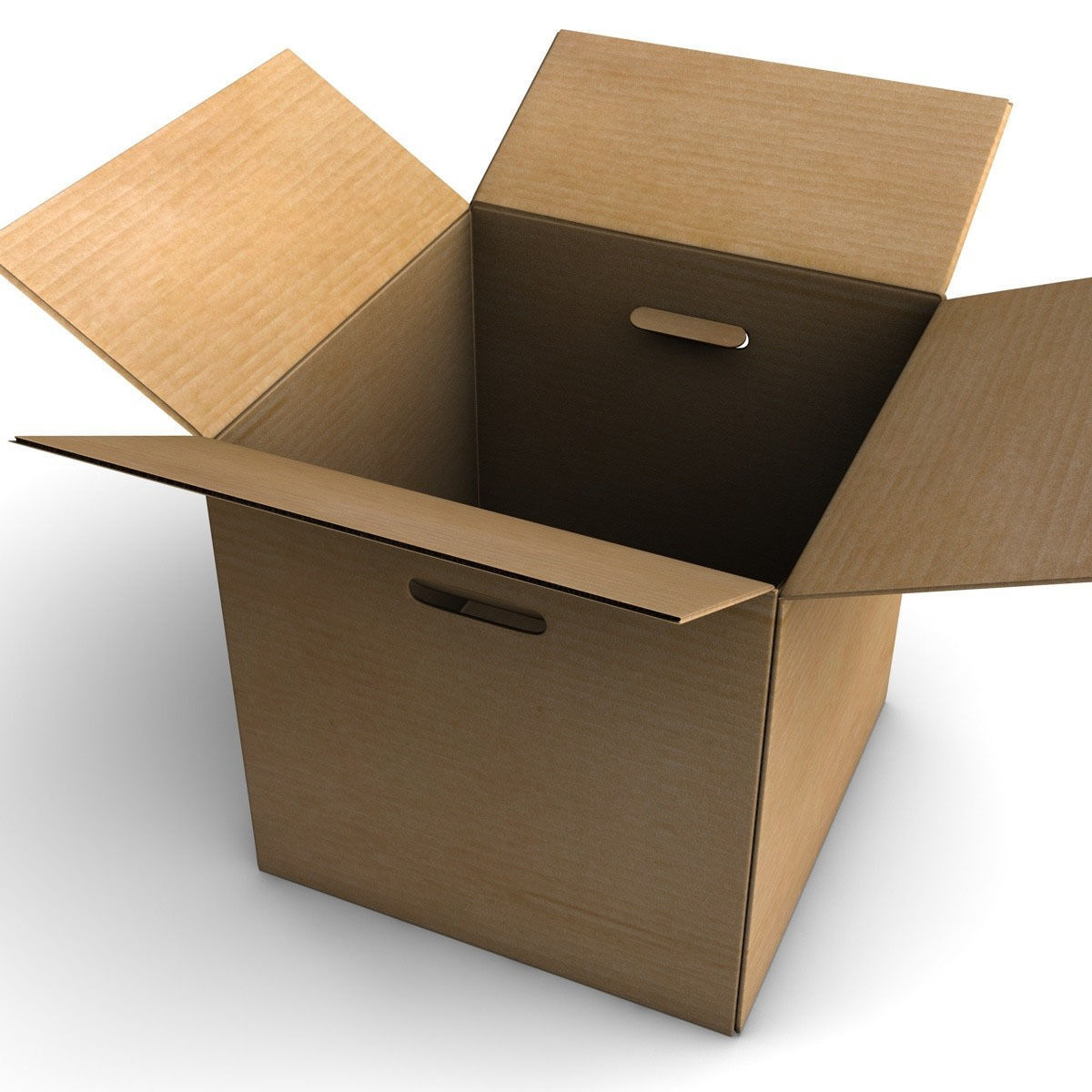 Rigged Cardboard Box  3D model_2