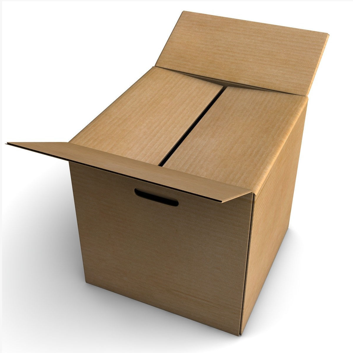 Rigged Cardboard Box  3D model_1