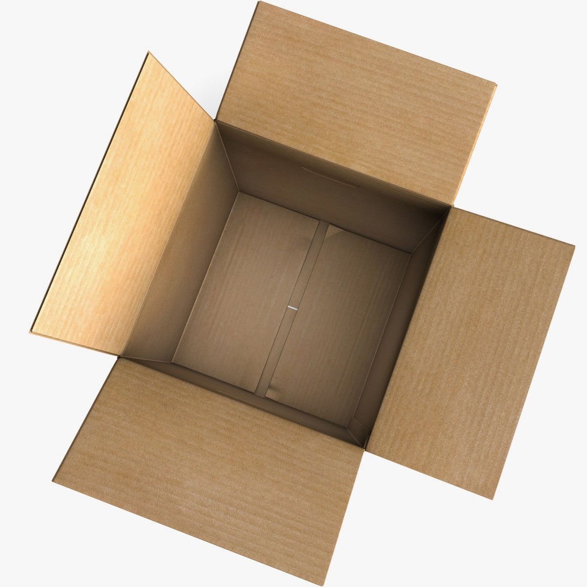 Rigged Cardboard Box  3D model_3