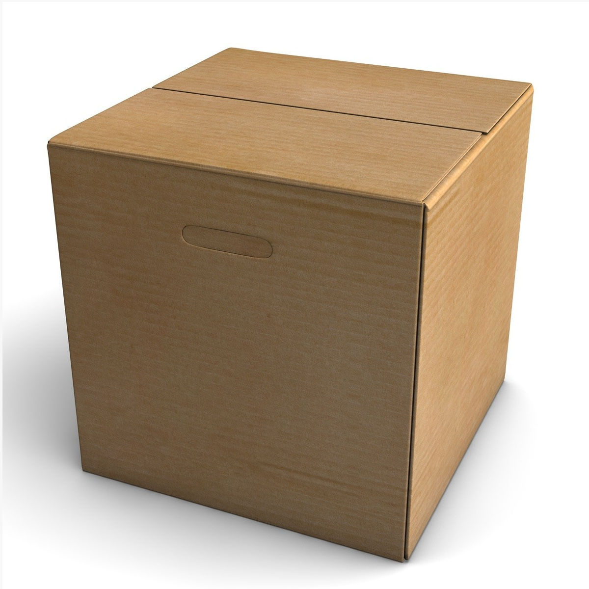 Rigged Cardboard Box  3D model_4