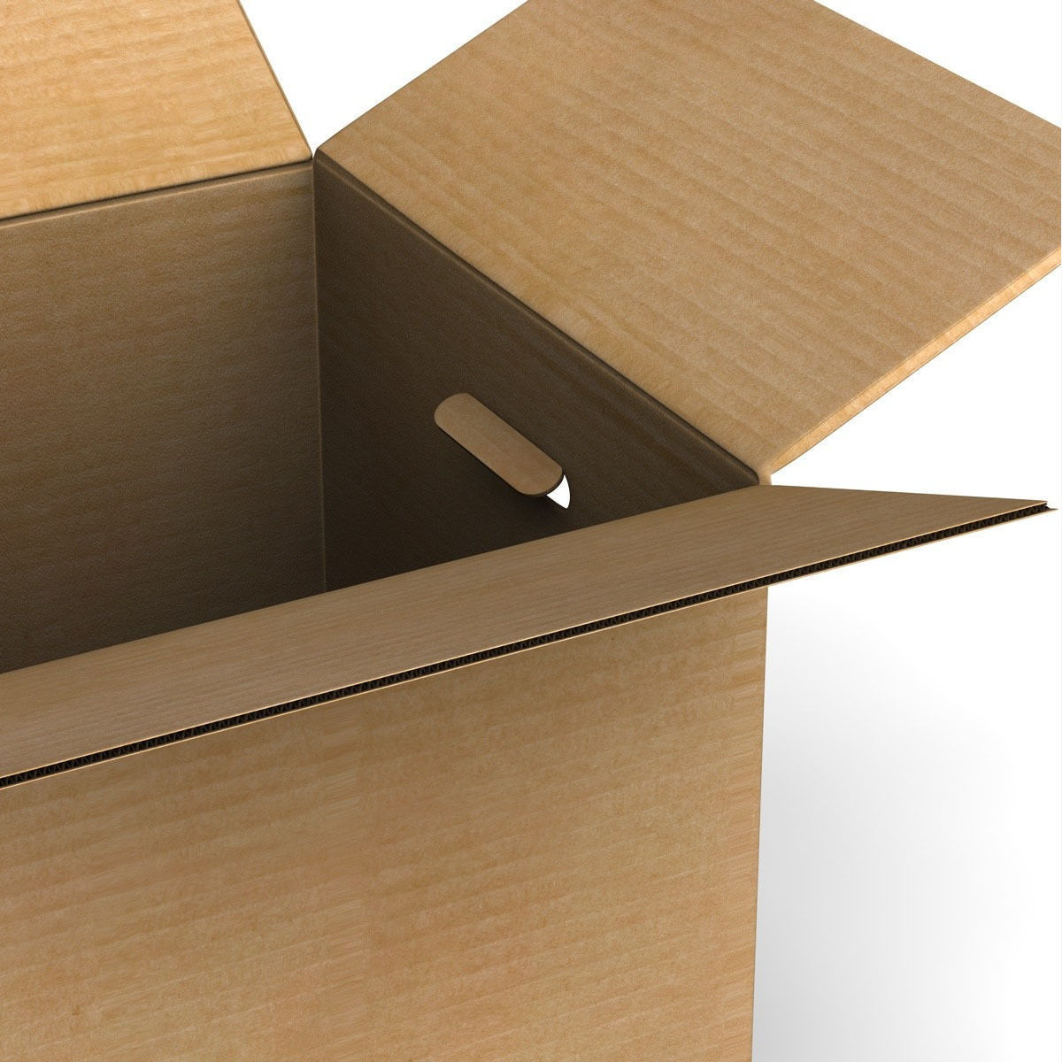 Rigged Cardboard Box  3D model_5