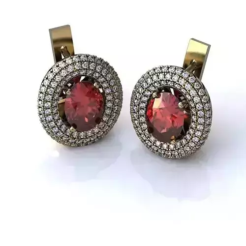Luxurious Earrings