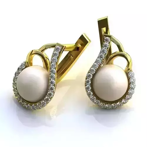 Luxurious Earrings