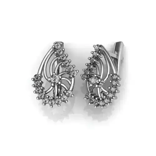 Luxurious Earrings