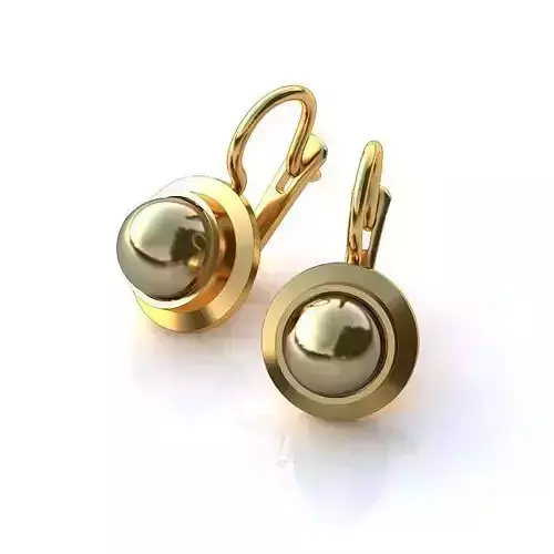 Luxurious Earrings