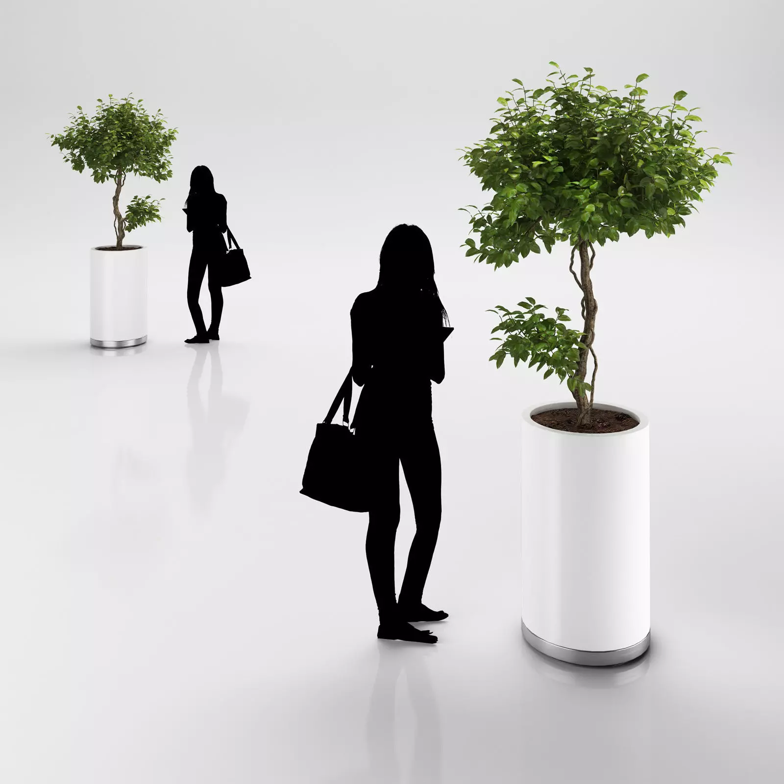 Small tree in white pot 3D model