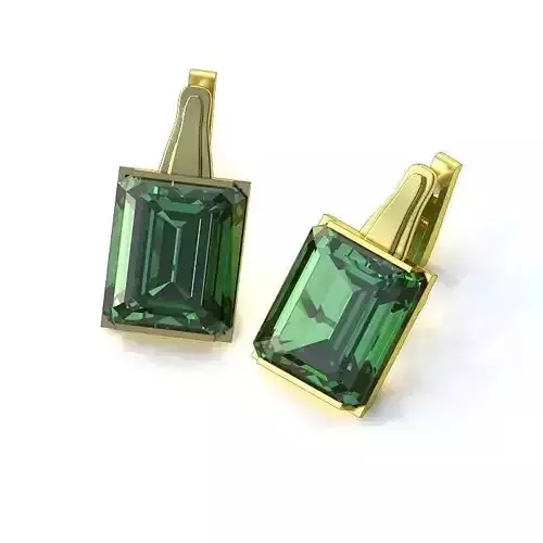 Luxurious Earrings