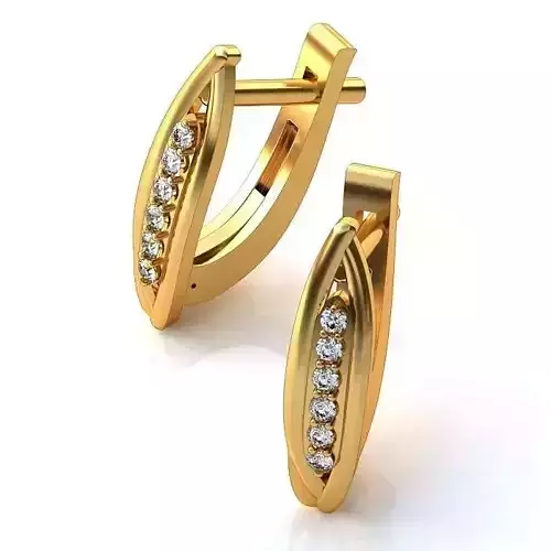 Luxurious Earrings