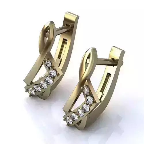 Luxurious Earrings