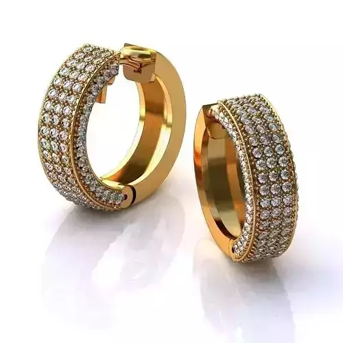 Luxurious Earrings