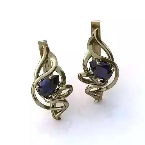 Luxurious Earrings