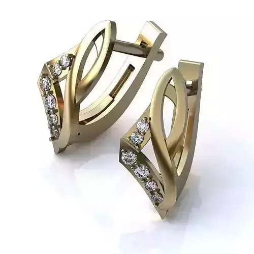 Luxurious Earrings