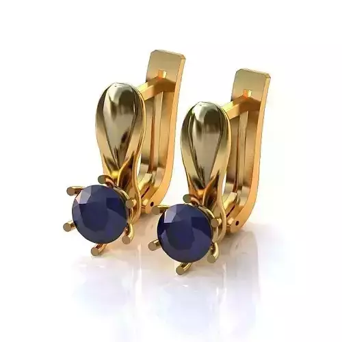 Luxurious Earrings