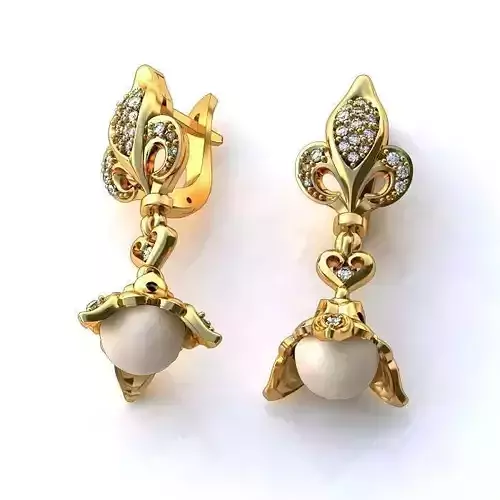 Luxurious Earrings