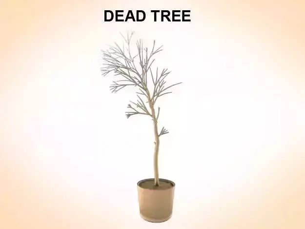 Dead Tree