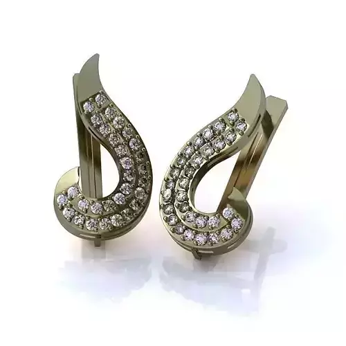 Luxurious Earrings