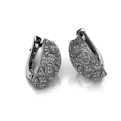 Luxurious Earrings