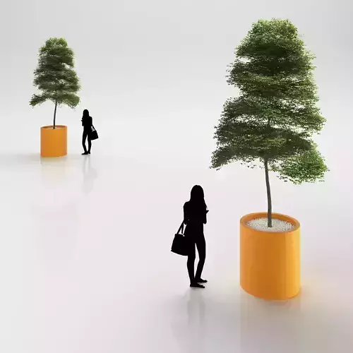 Young tree in plastic pot