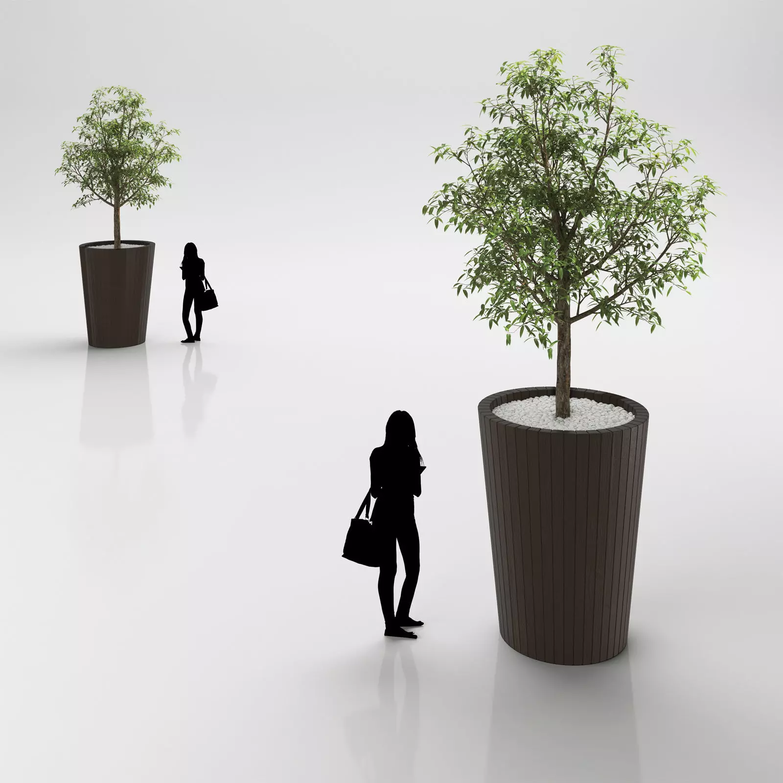 Young tree in tall wooden pot 3D model_0